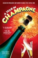 Watch A Year in Champagne Zumvo