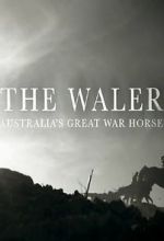 Watch The Waler: Australia\'s Great War Horse Zumvo