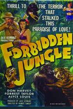 Watch Forbidden Jungle Zumvo