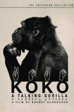 Watch Koko, le gorille qui parle Zumvo