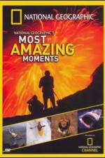 Watch National Geographics Most Amazing Moments Zumvo