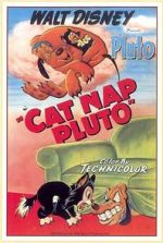 Watch Cat Nap Pluto Zumvo