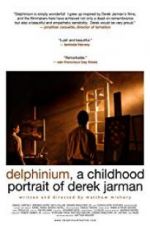Watch Delphinium: A Childhood Portrait of Derek Jarman Zumvo