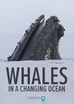 Watch Whales in a Changing Ocean (Short 2021) Zumvo