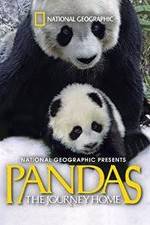 Watch Pandas: The Journey Home Zumvo