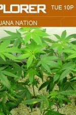 Watch Marijuana Nation Zumvo