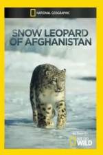 Watch Snow Leopard of Afghanistan Zumvo