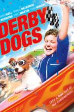 Watch Derby Dogs Zumvo