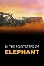 Watch In the Footsteps of Elephant Zumvo