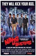 Watch Ninja Busters Zumvo