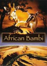 Watch African Bambi Zumvo