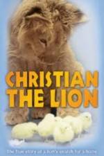 Watch Christian the lion Zumvo