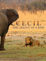 Watch Cecil: The Legacy of a King Zumvo