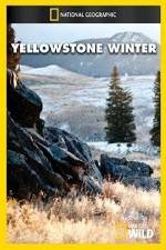 Watch National Geographic Yellowstone Winter Zumvo