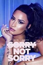 Watch Demi Lovato: Sorry Not Sorry Zumvo