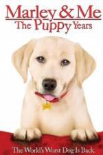 Watch Marley and Me The Puppy Years Zumvo