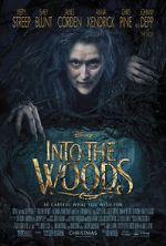 Watch Into the Woods Zumvo