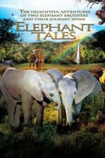 Watch Elephant Tales Zumvo