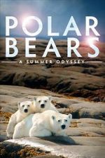 Watch Polar Bears: A Summer Odyssey Zumvo
