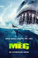 Watch The Meg Zumvo