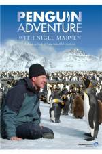 Watch Penguin Adventure With Nigel Marven Zumvo