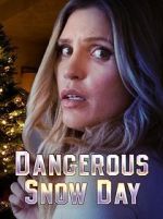 Watch Dangerous Snow Day Zumvo