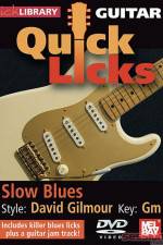 Watch Lick Library Quick Licks David Gilmour Zumvo