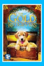 Watch The Gold Retrievers Zumvo