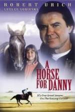 Watch A Horse for Danny Zumvo