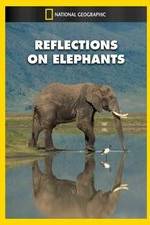 Watch Reflections on Elephants Zumvo