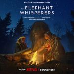 Watch The Elephant Whisperers (Short 2022) Zumvo