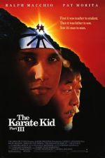 Watch The Karate Kid Part III Zumvo