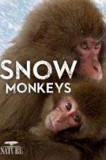 Watch Nature: Snow Monkeys Zumvo