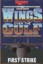 Watch Wings Over the Gulf Vol  1  First Strike Zumvo