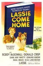 Watch Lassie Come Home Zumvo