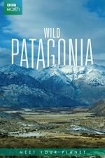 Watch Wild Patagonia Zumvo