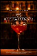 Watch Hey Bartender Zumvo