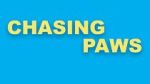 Watch Chasing Paws (Short 2020) Zumvo