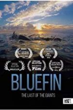 Watch Bluefin Zumvo