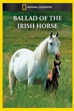 Watch Ballad of the Irish Horse Zumvo