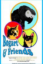 Watch Bogart & Friends Zumvo