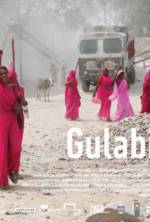Watch Gulabi Gang Zumvo