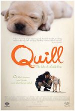 Watch Quill: The Life of a Guide Dog Zumvo