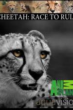 Watch Cheetah: Race to Rule Zumvo