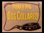 Watch Dog Collared (Short 1950) Zumvo