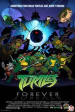 Watch Teenage Mutant Ninja Turtles Turtles Forever Zumvo