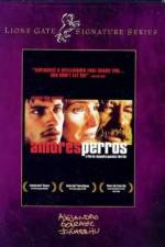 Watch Amores perros Zumvo