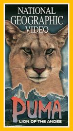 Watch Puma: Lion of the Andes Zumvo