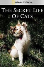 Watch The Secret Life of Cats Zumvo