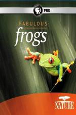 Watch Nature: Fabulous Frogs Zumvo